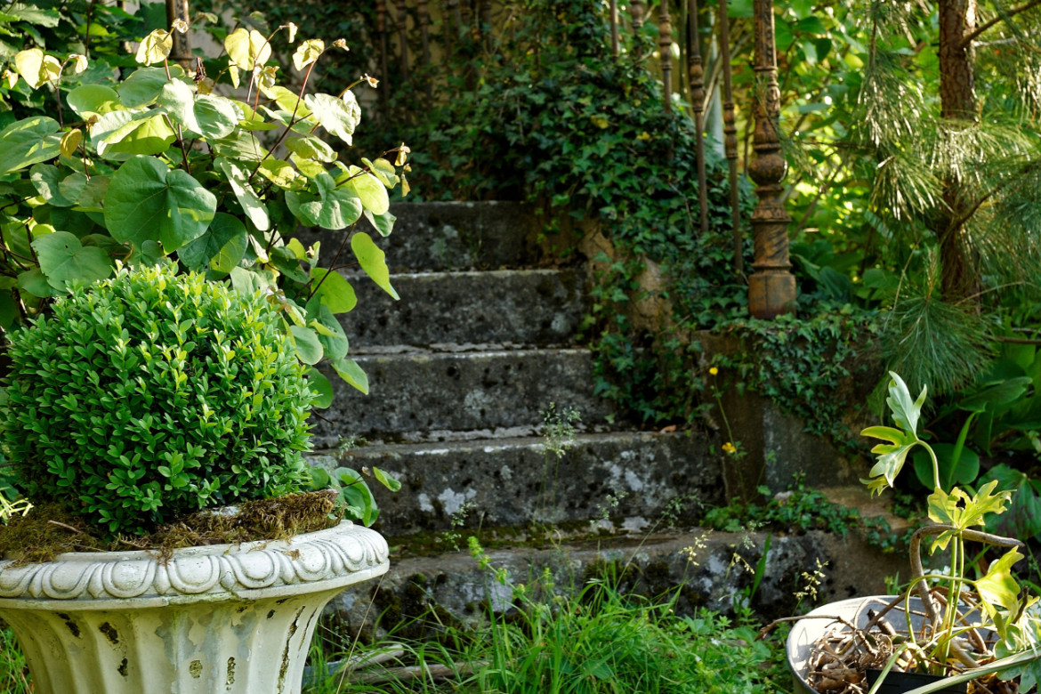 Maison de maître - Photo #4