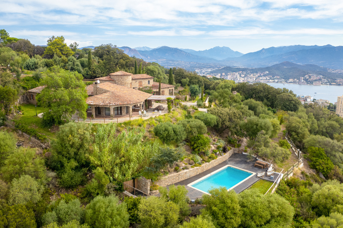 A GIRAFFA - Photo #12