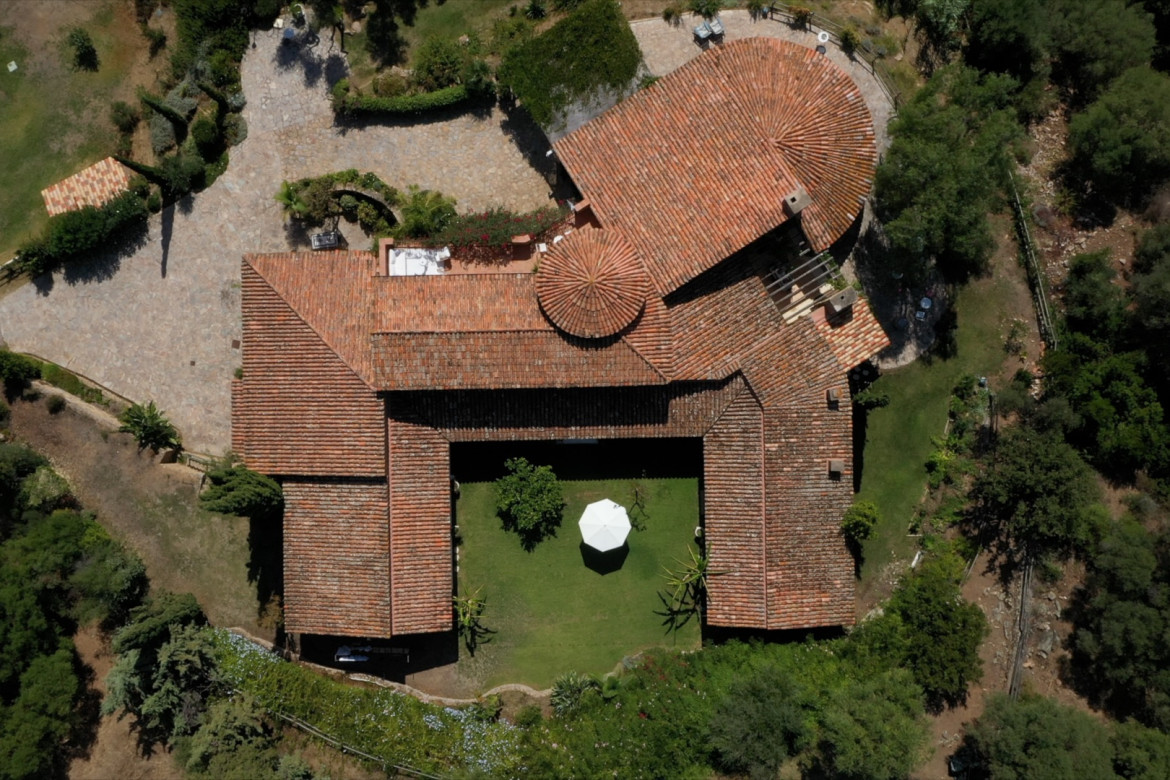 A GIRAFFA - Photo #11