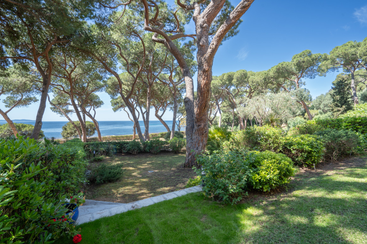 PINÈDE 2 - Photo #20