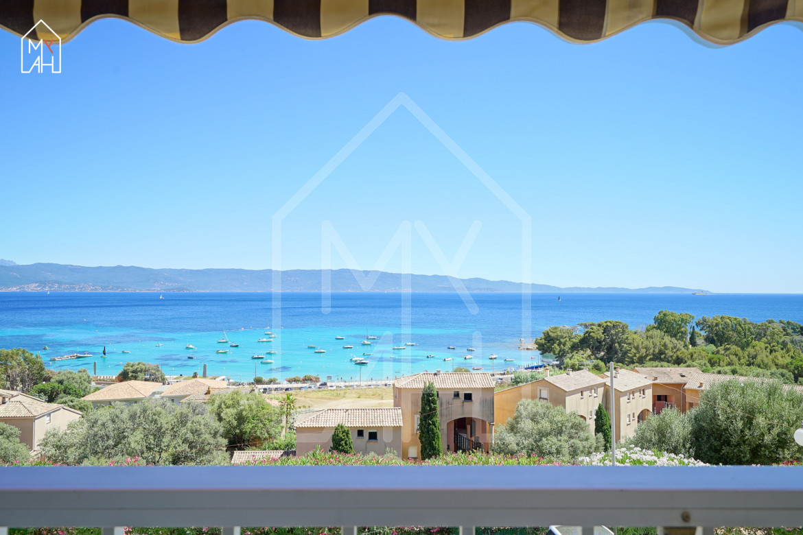 CORALIA 2 - Photo #22