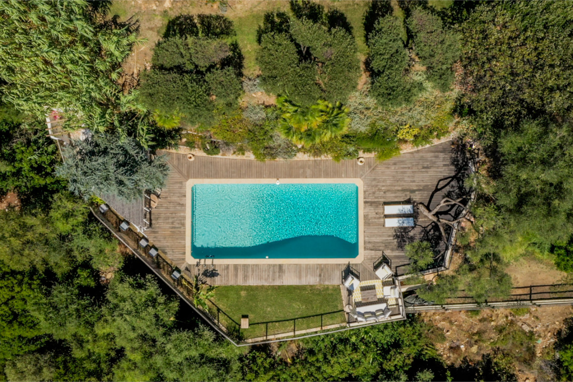 A GIRAFFA - Photo #12