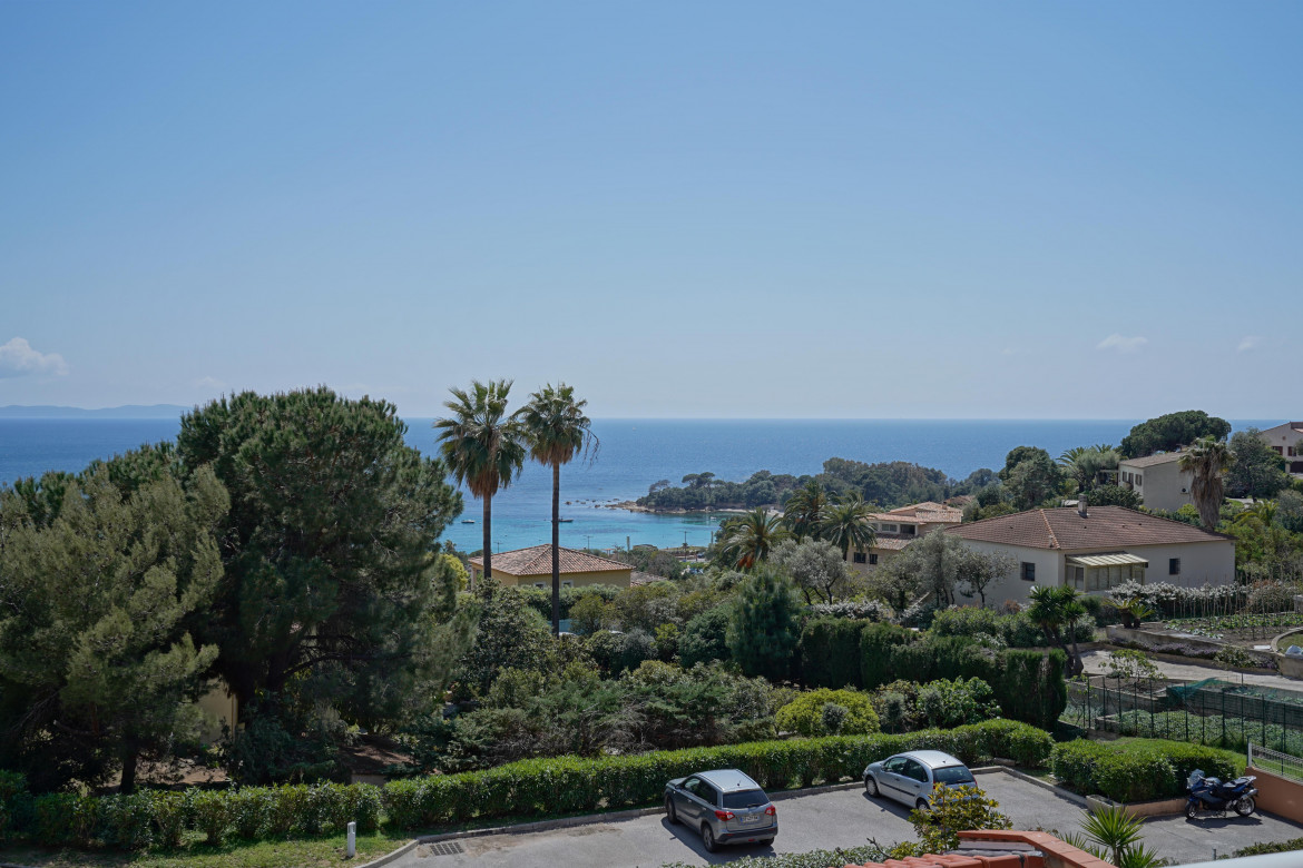 SANTA LINA 1 - Photo #7