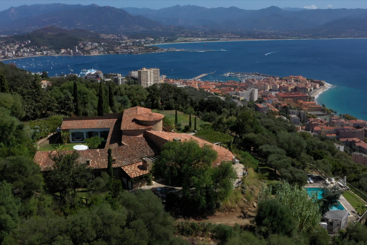 A GIRAFFA - Photo #0