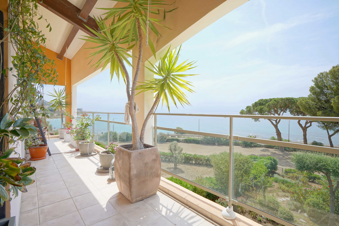 PINÈDE 1 - Photo #11