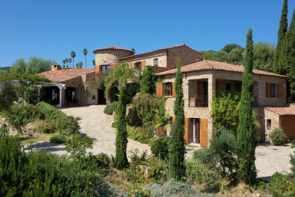 A GIRAFFA - Photo #2