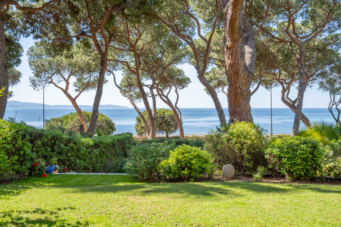 PINÈDE 2 - Photo #16