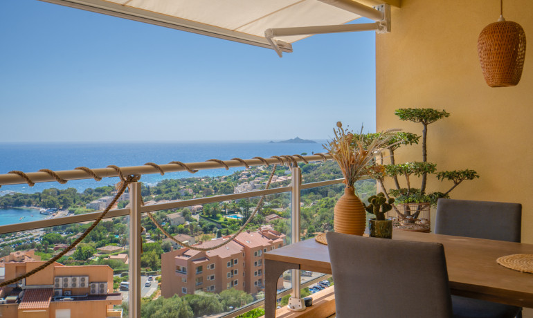 Ventes - T5 Duplex avec vue exceptionnelle - T4 et + - AJACCIO - Sanguinaires