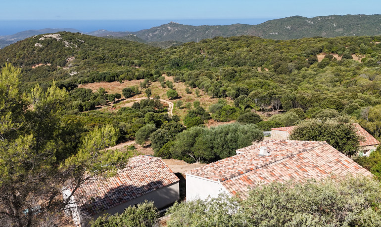 Ventes - Maison T3 vue imprenable - Villa/Maison - GIUNCHETO (Sartène)