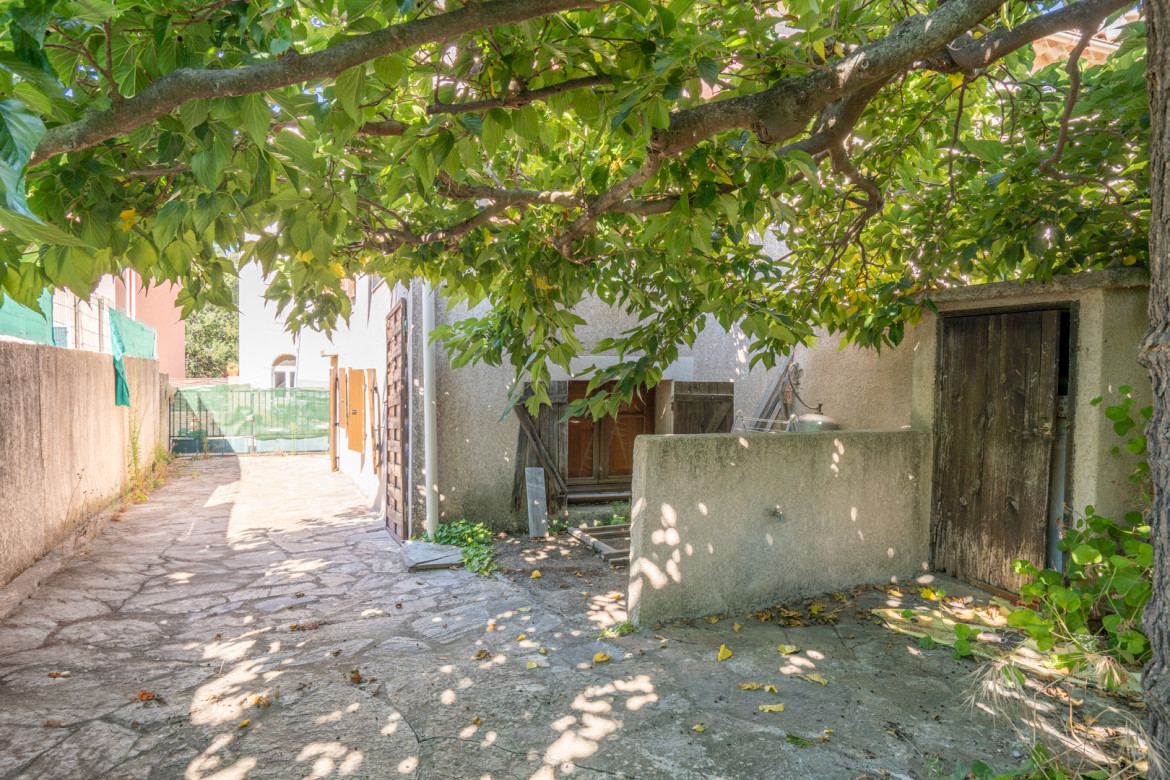 T3 centre de Piana avec Terrasse - Photo #5